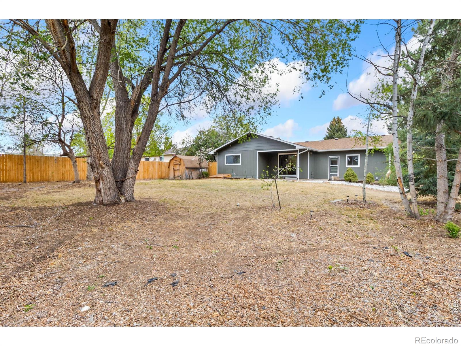 308 W 52nd Street Loveland CO 80538