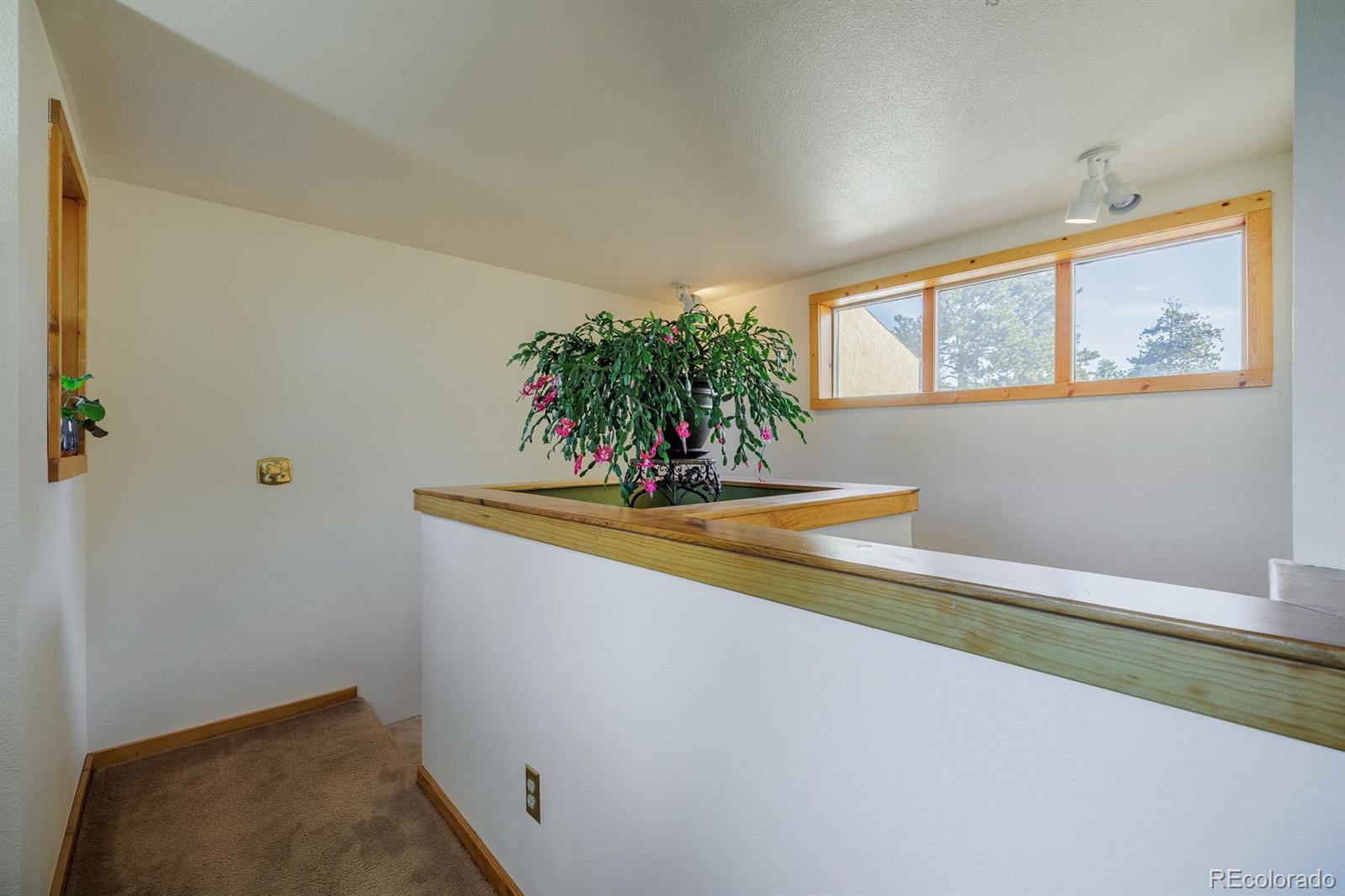 240 Crestwood Drive Woodland Park CO 80863