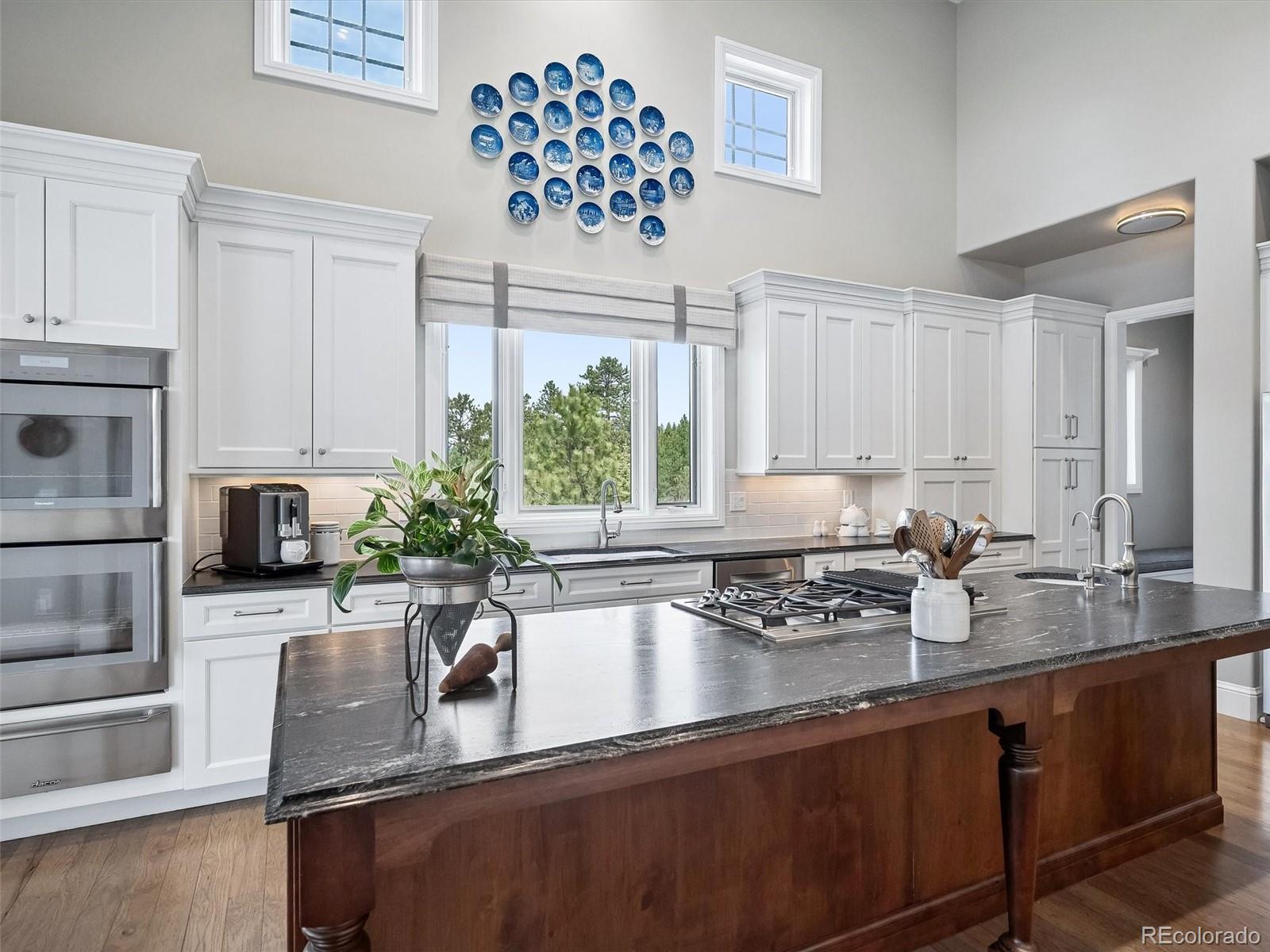 32106 Fox Run Lane Evergreen CO 80439