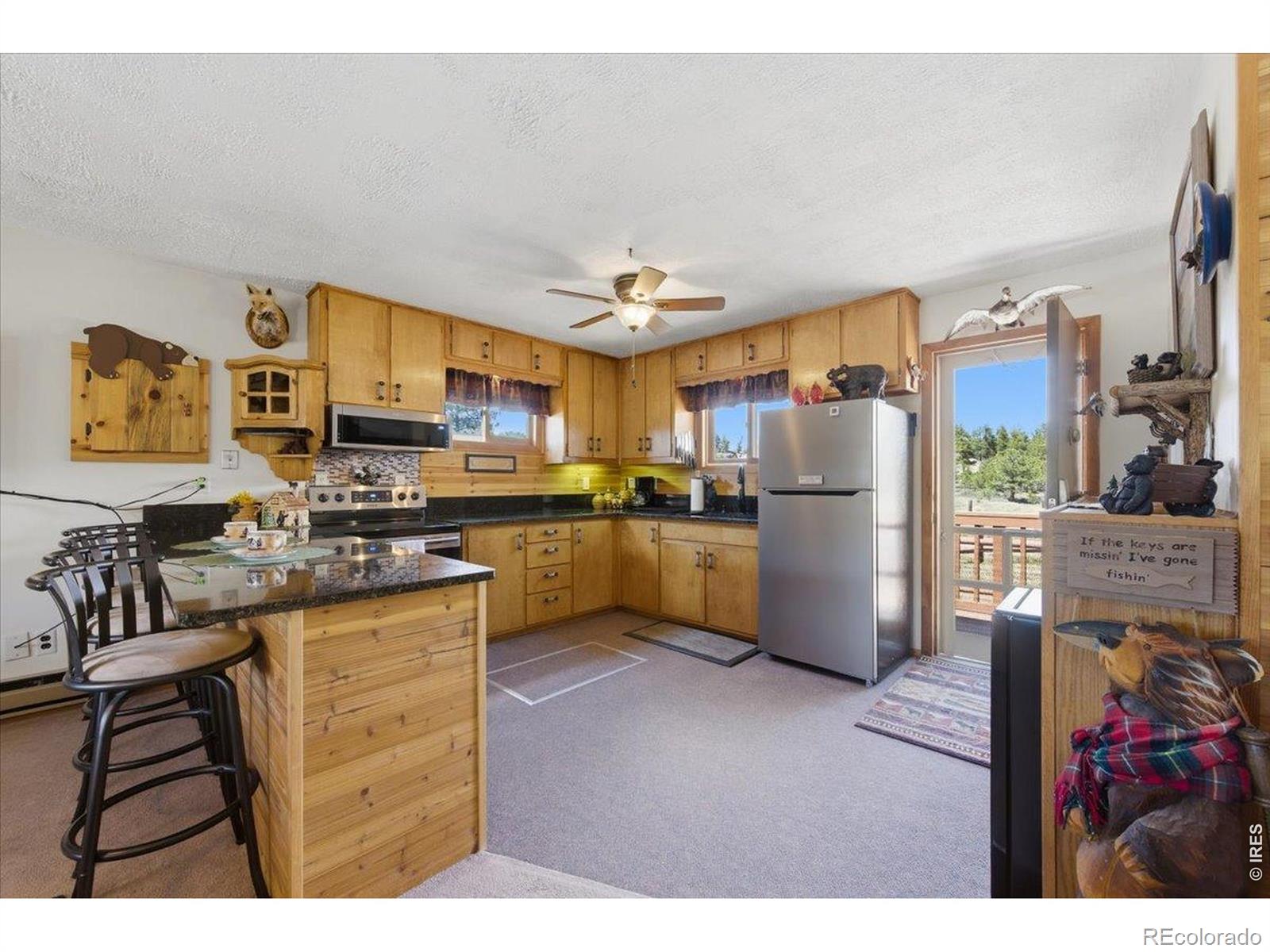 66 Walela Lane Red Feather Lakes CO 80545