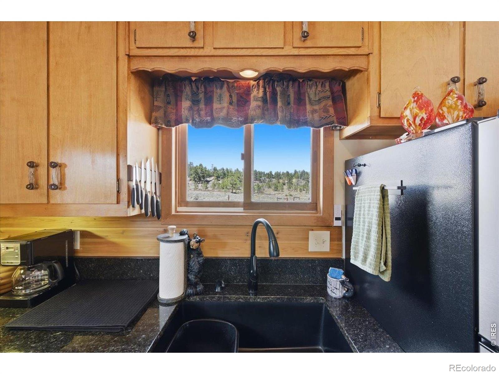 66 Walela Lane Red Feather Lakes CO 80545