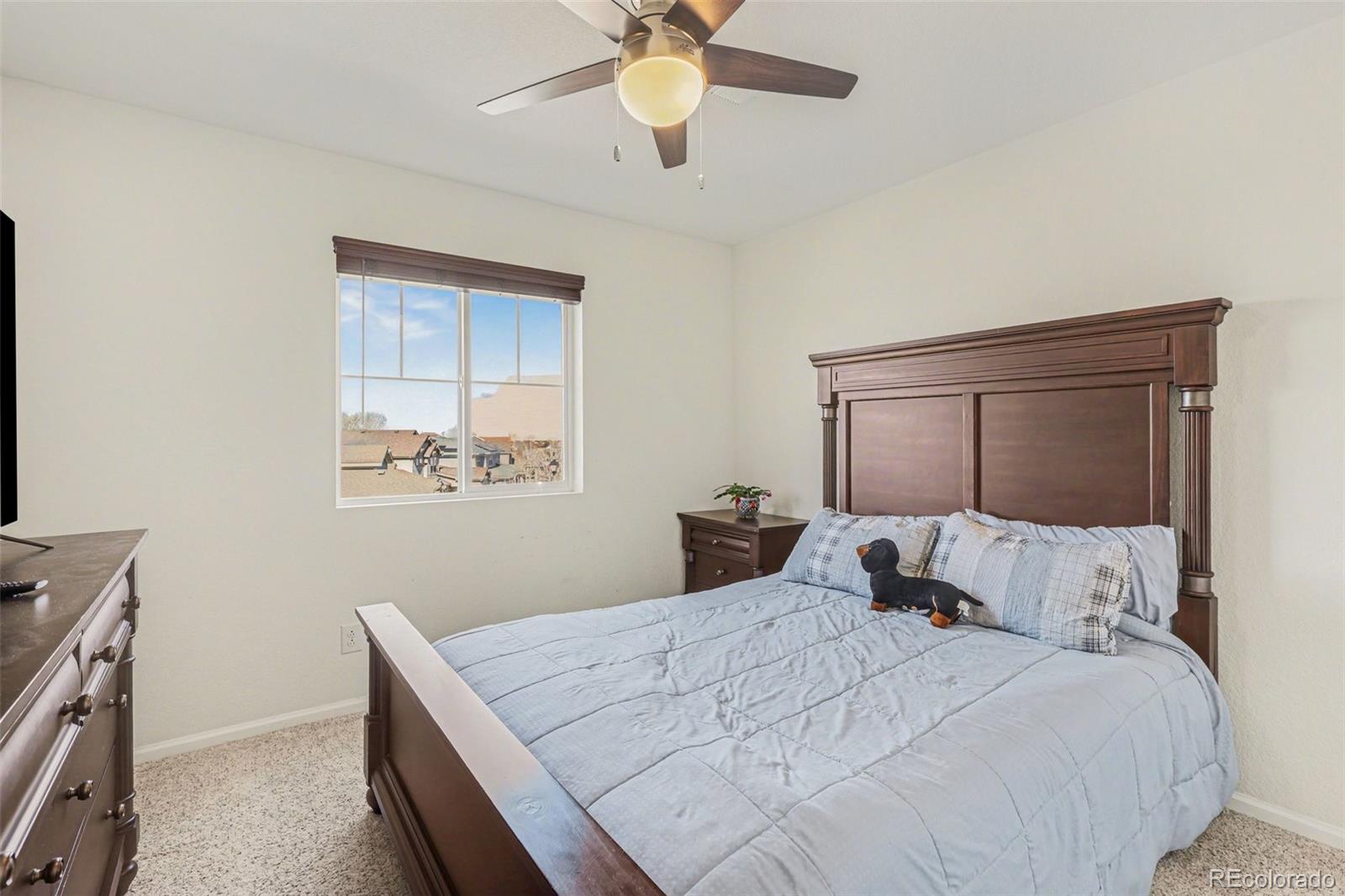 13685 Ash Circle Thornton CO 80602