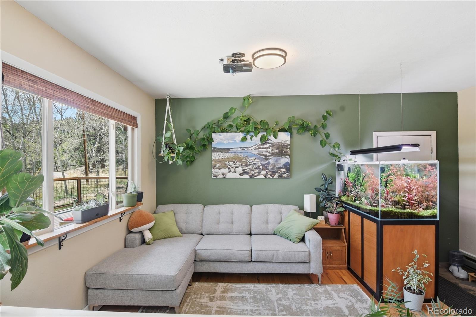 31280 Florence Road Conifer CO 80433