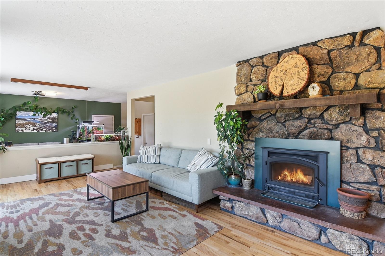 31280 Florence Road Conifer CO 80433