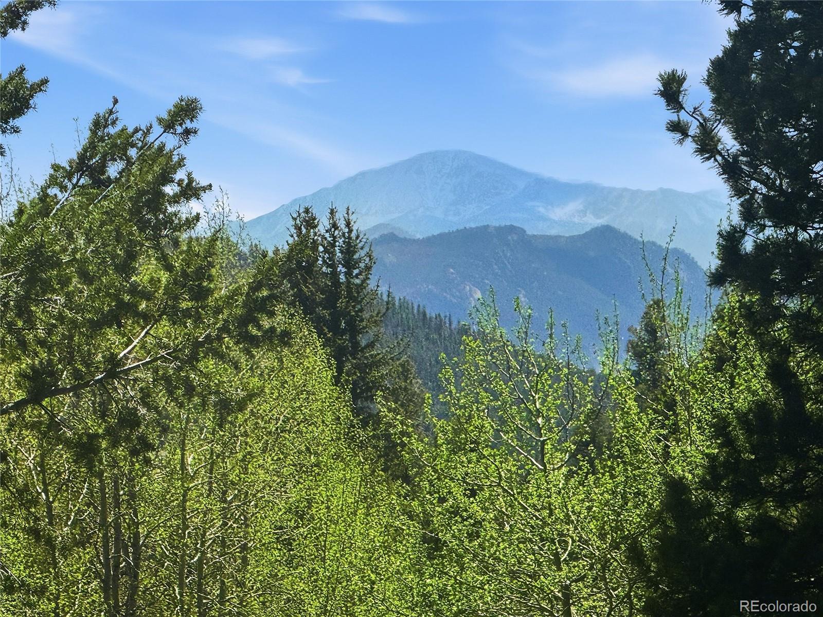 31280 Florence Road Conifer CO 80433