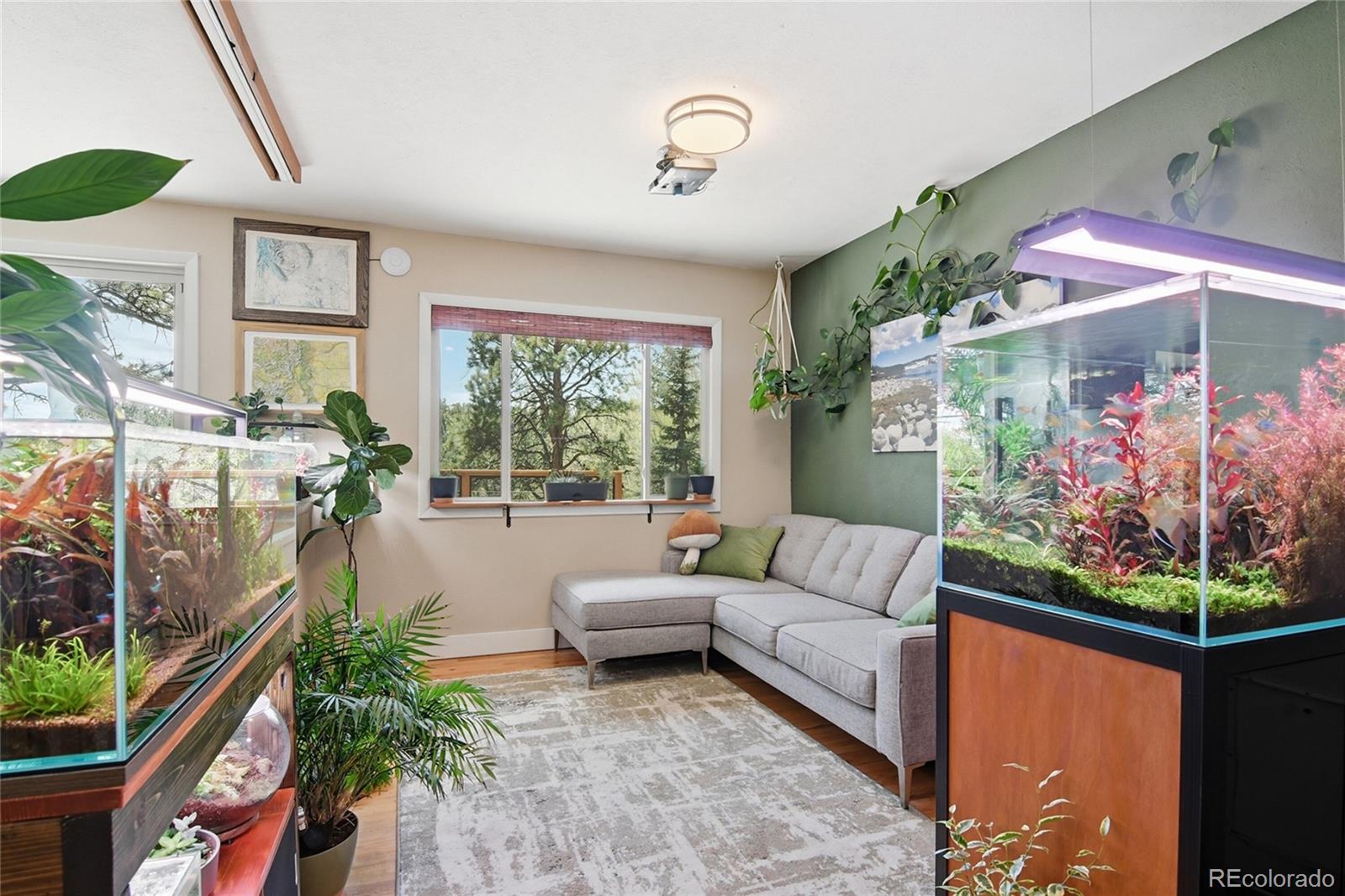 31280 Florence Road Conifer CO 80433