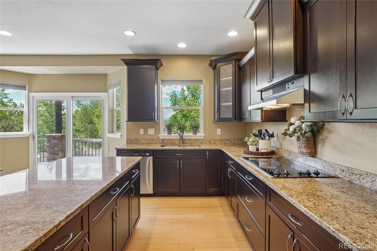 240 Gallagher Court Erie CO 80516