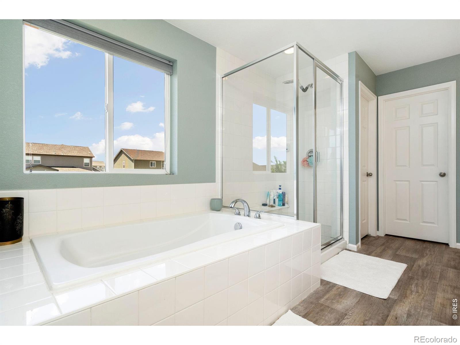 5259 Odessa Lake Street Timnath CO 80547