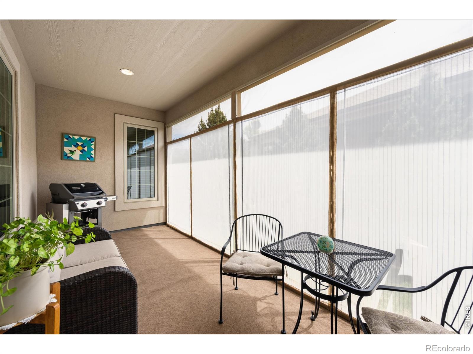 8206 Surrey Street Greeley CO 80634