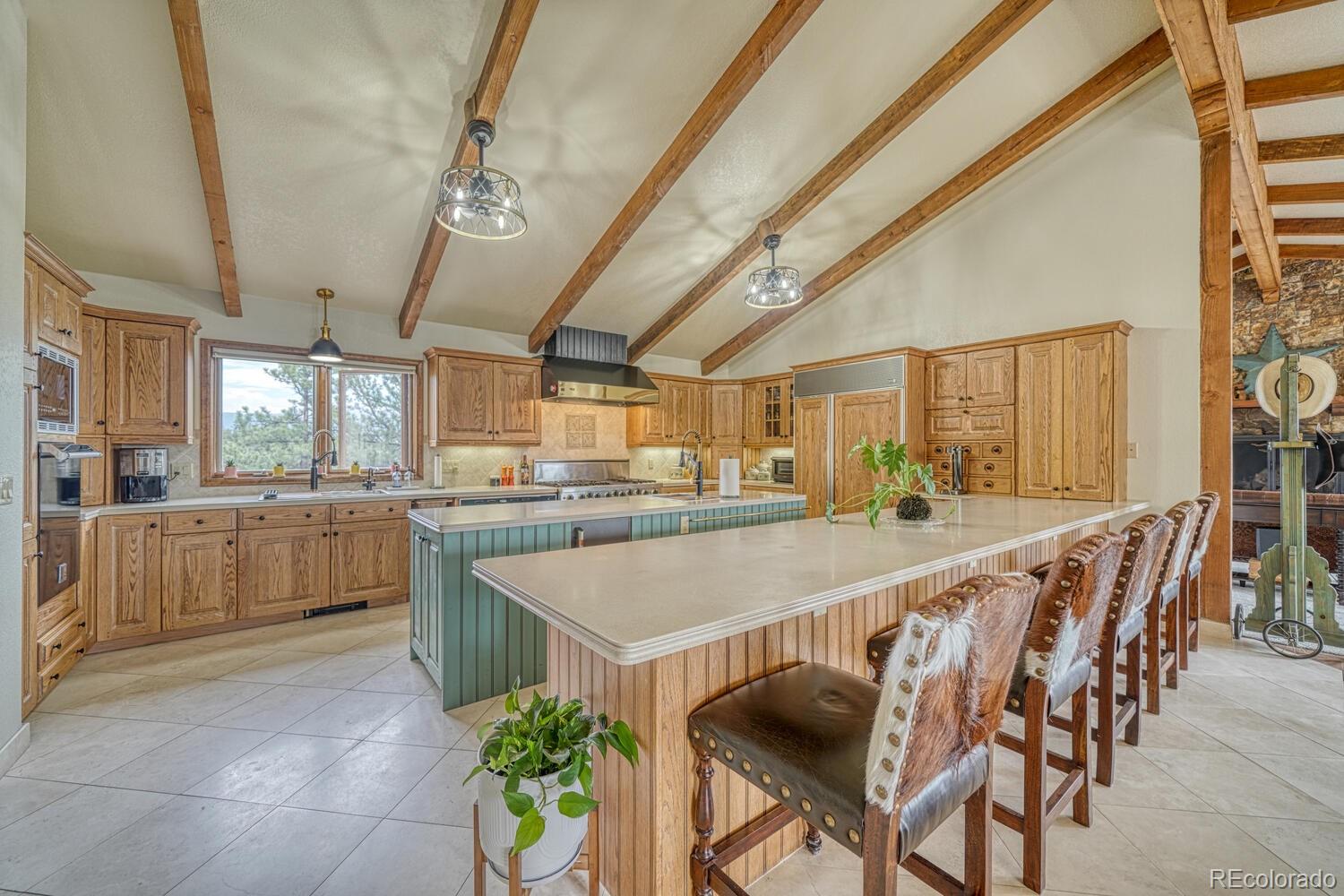 18165 Alta Vista Drive Buena Vista CO 81211