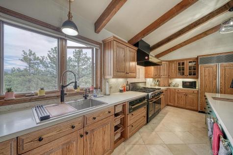 18165 Alta Vista Drive Buena Vista CO 81211