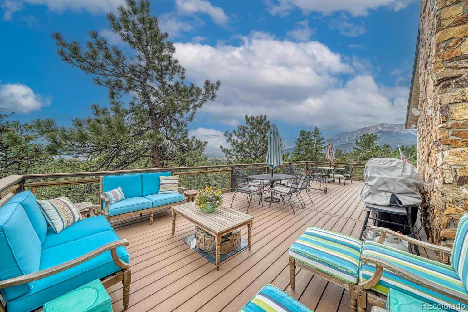 18165 Alta Vista Drive Buena Vista CO 81211