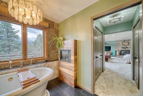 18165 Alta Vista Drive Buena Vista CO 81211