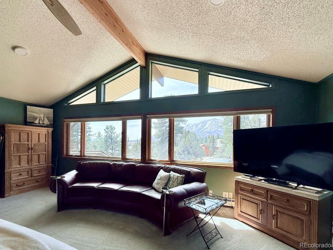 18165 Alta Vista Drive Buena Vista CO 81211