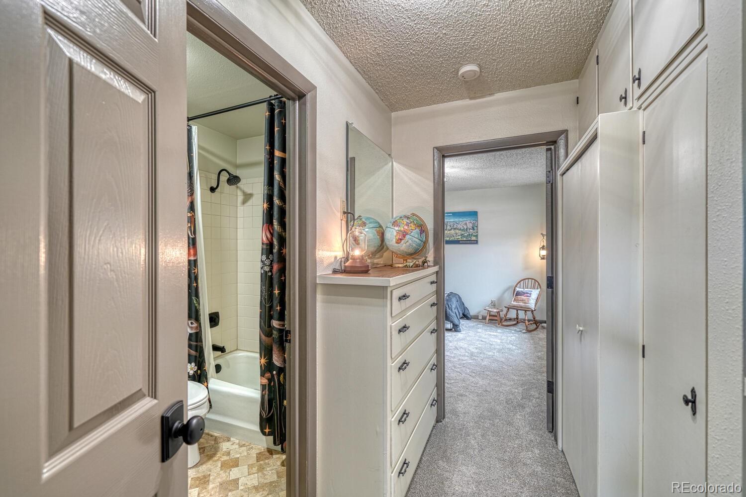 18165 Alta Vista Drive Buena Vista CO 81211