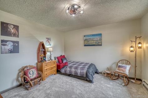 18165 Alta Vista Drive Buena Vista CO 81211