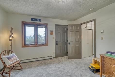 18165 Alta Vista Drive Buena Vista CO 81211