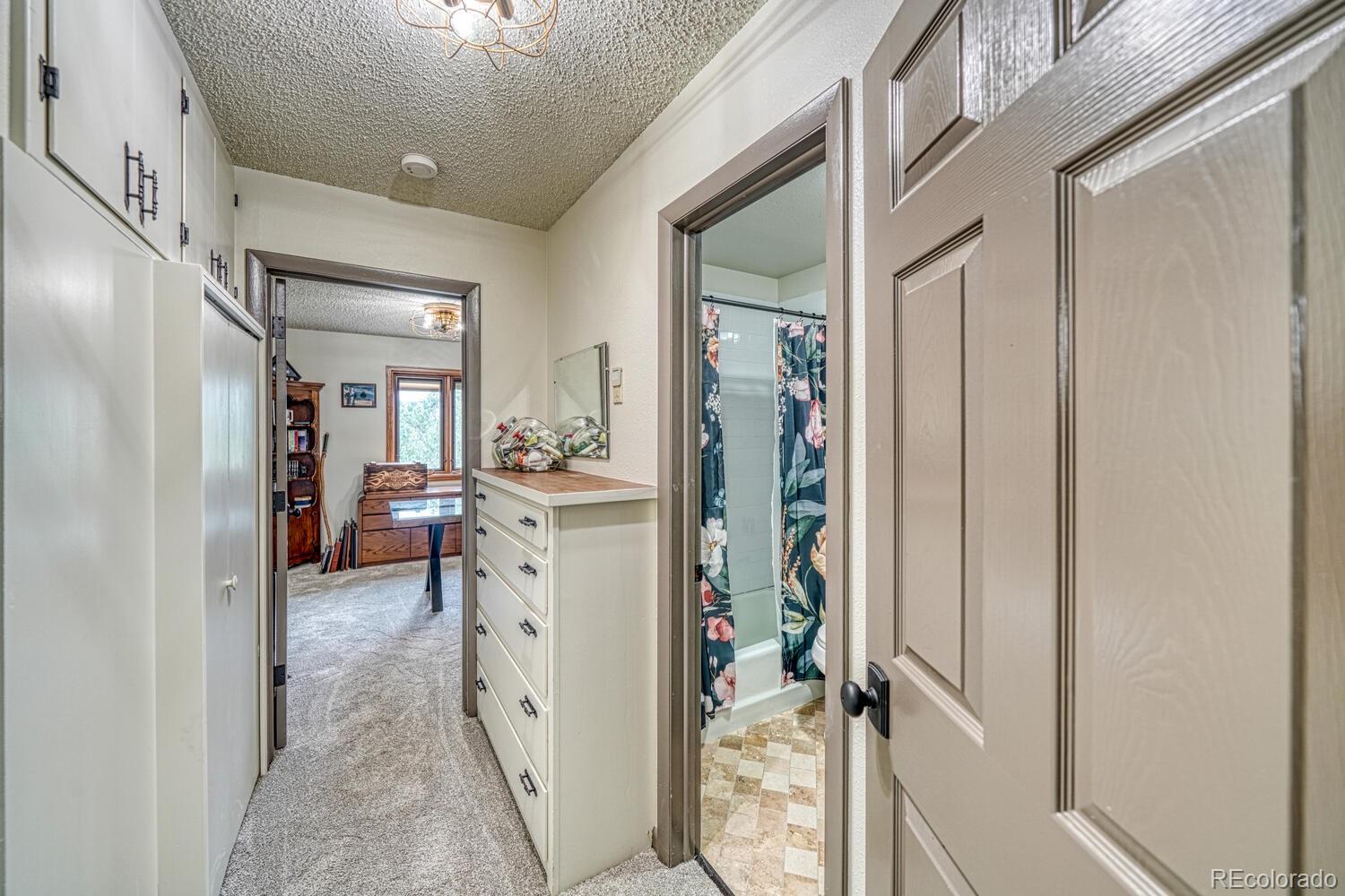18165 Alta Vista Drive Buena Vista CO 81211