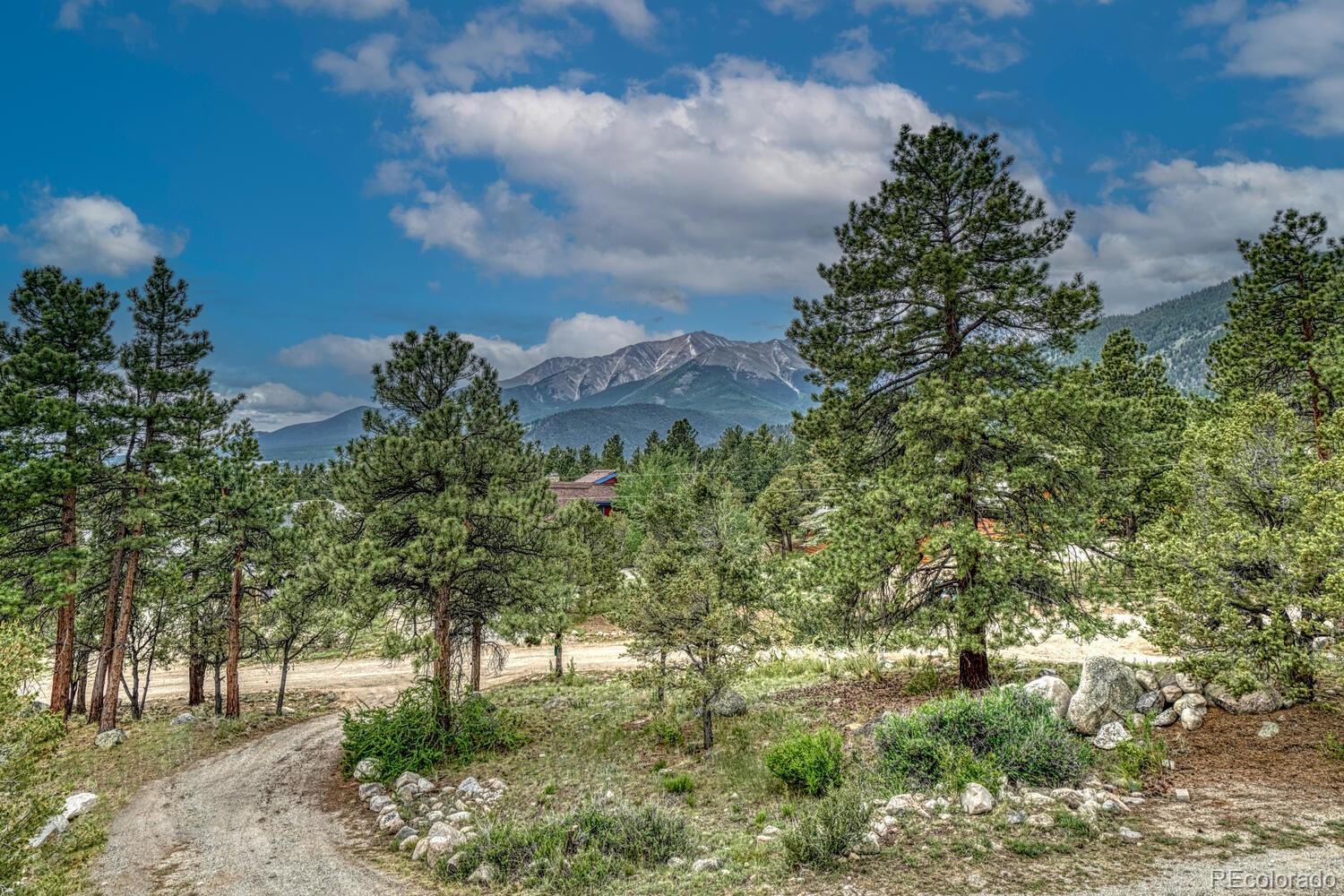 18165 Alta Vista Drive Buena Vista CO 81211