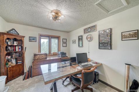 18165 Alta Vista Drive Buena Vista CO 81211