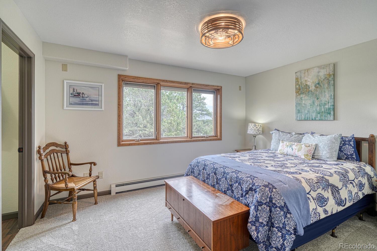 18165 Alta Vista Drive Buena Vista CO 81211