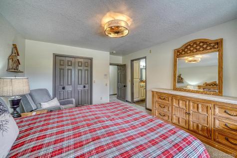 18165 Alta Vista Drive Buena Vista CO 81211