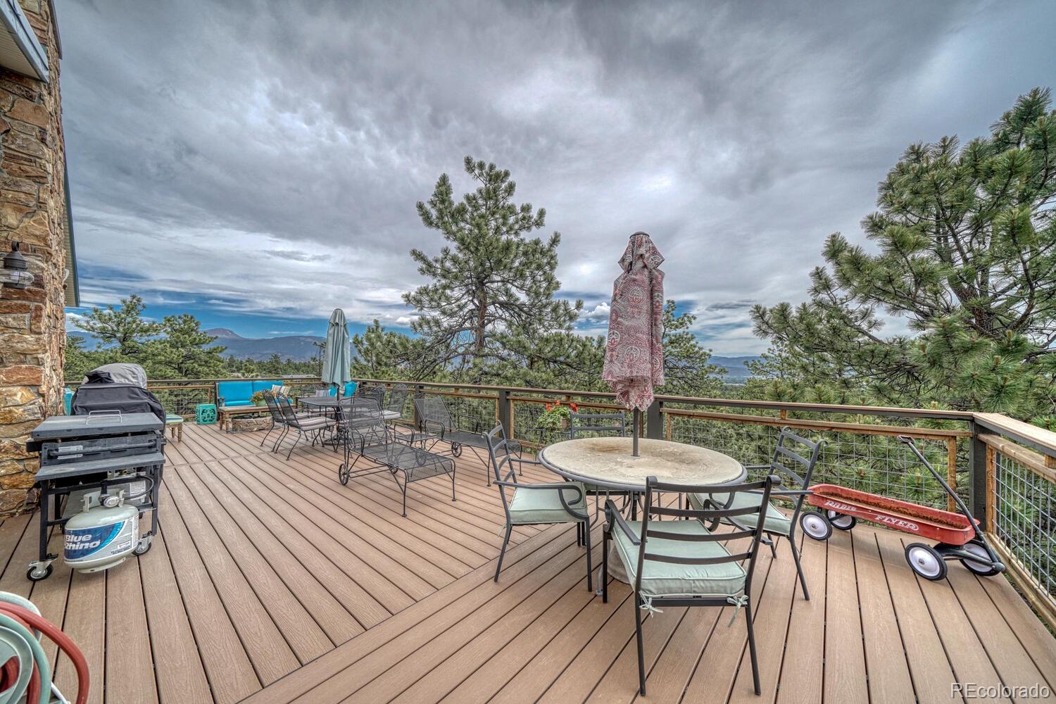 18165 Alta Vista Drive Buena Vista CO 81211