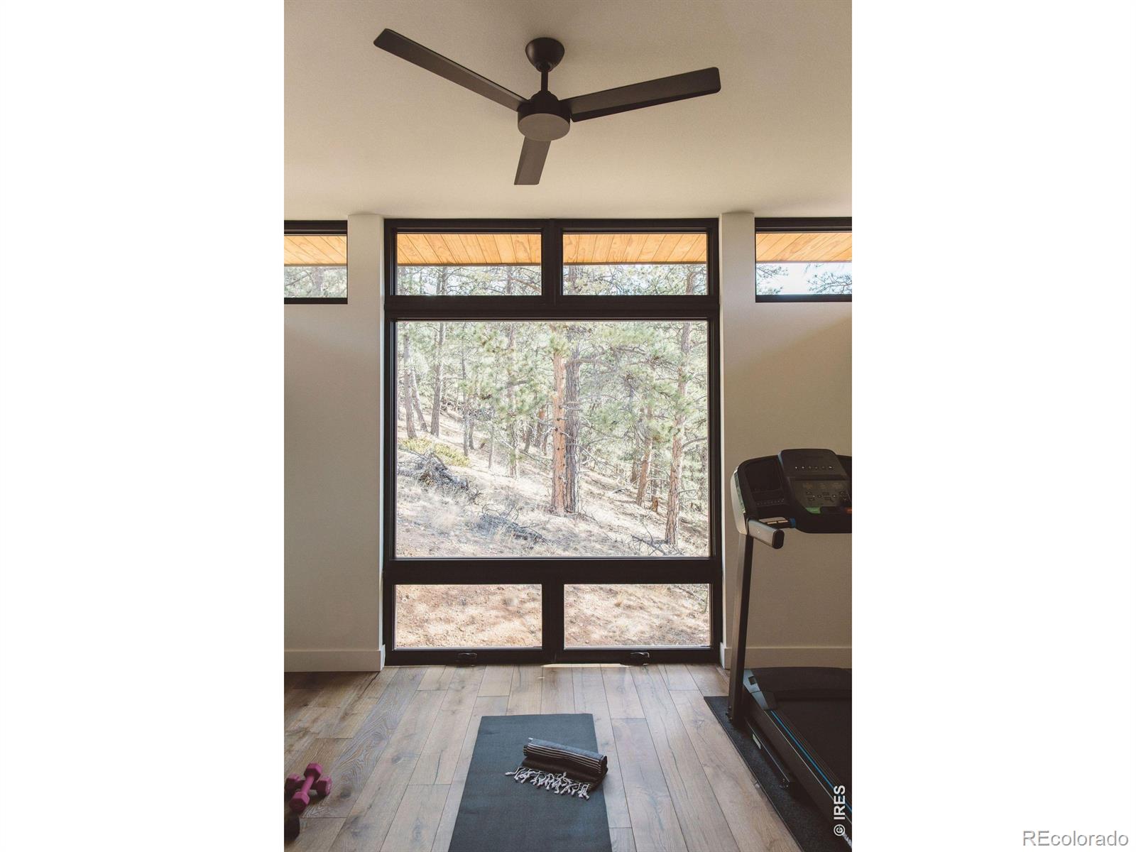 16132 Steller Ridge Road Loveland CO 80538