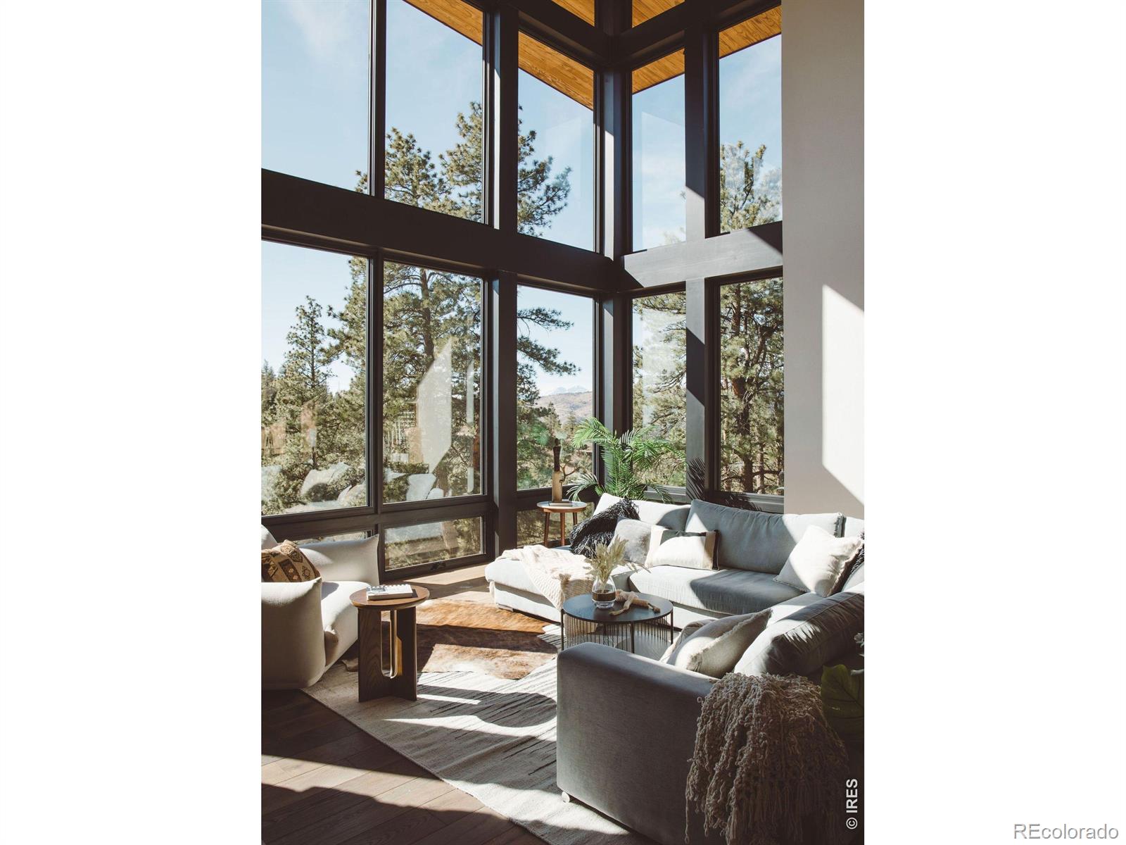 16132 Steller Ridge Road Loveland CO 80538