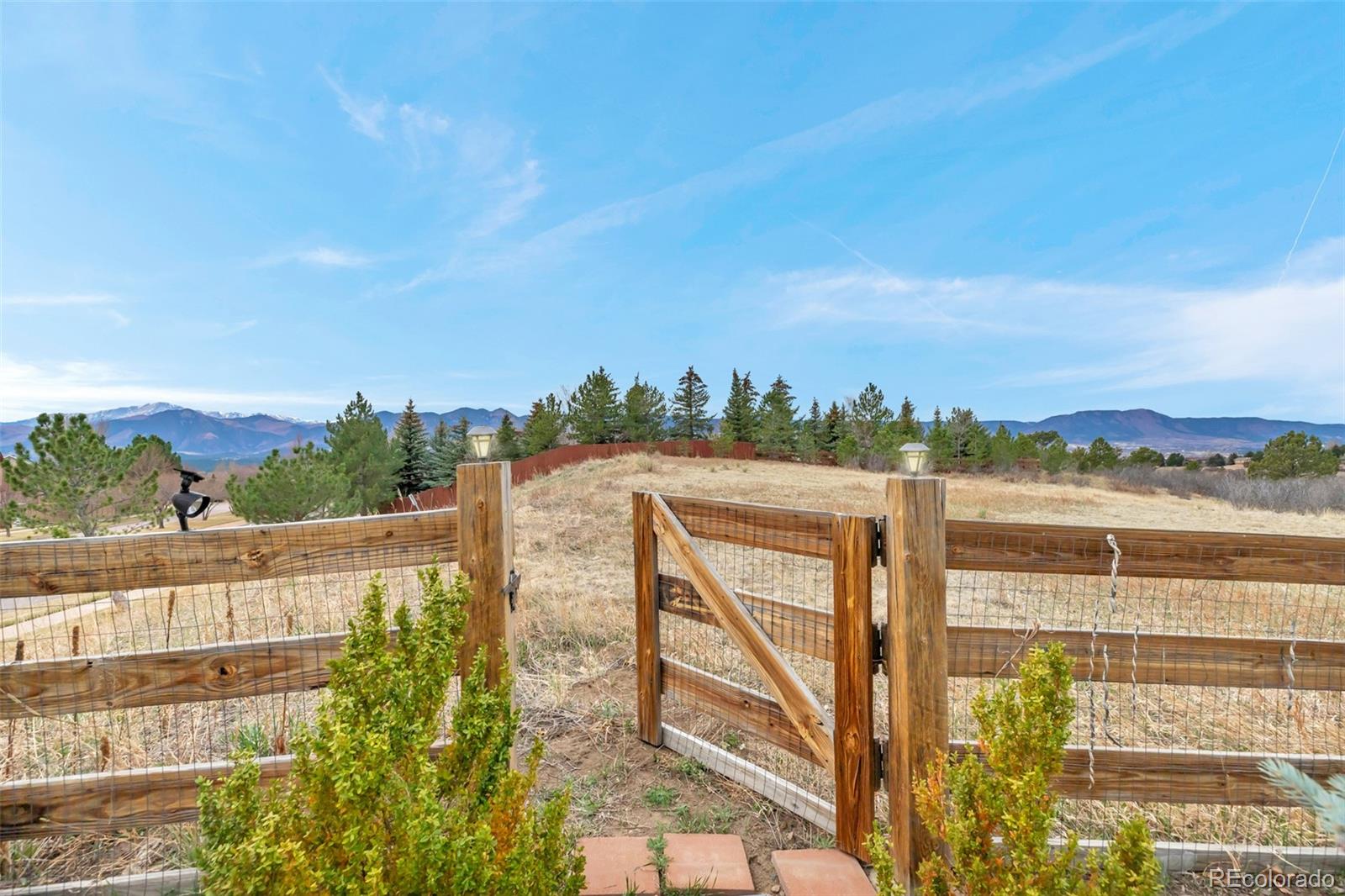 402 Coyote Willow Drive Colorado Springs CO 80921