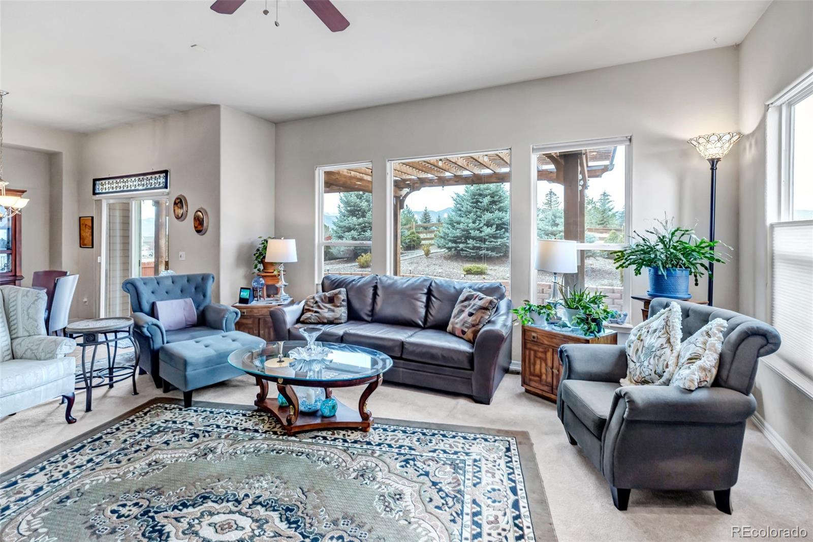 402 Coyote Willow Drive Colorado Springs CO 80921