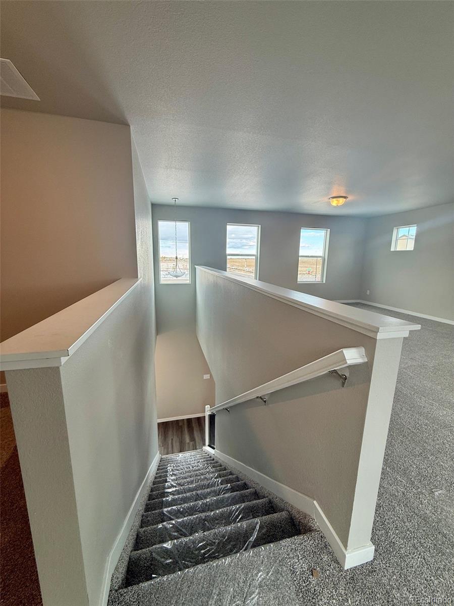 815 N Carrie Street Watkins CO 80137