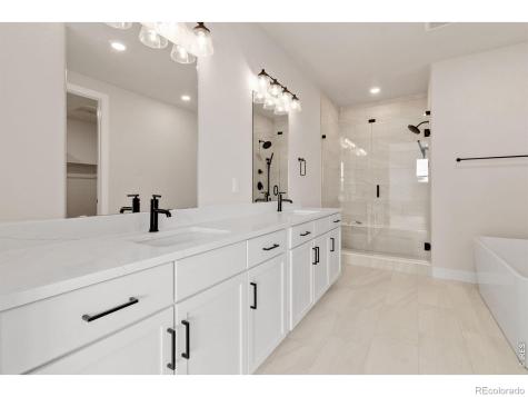 1653 Winter Glow Drive Windsor CO 80550