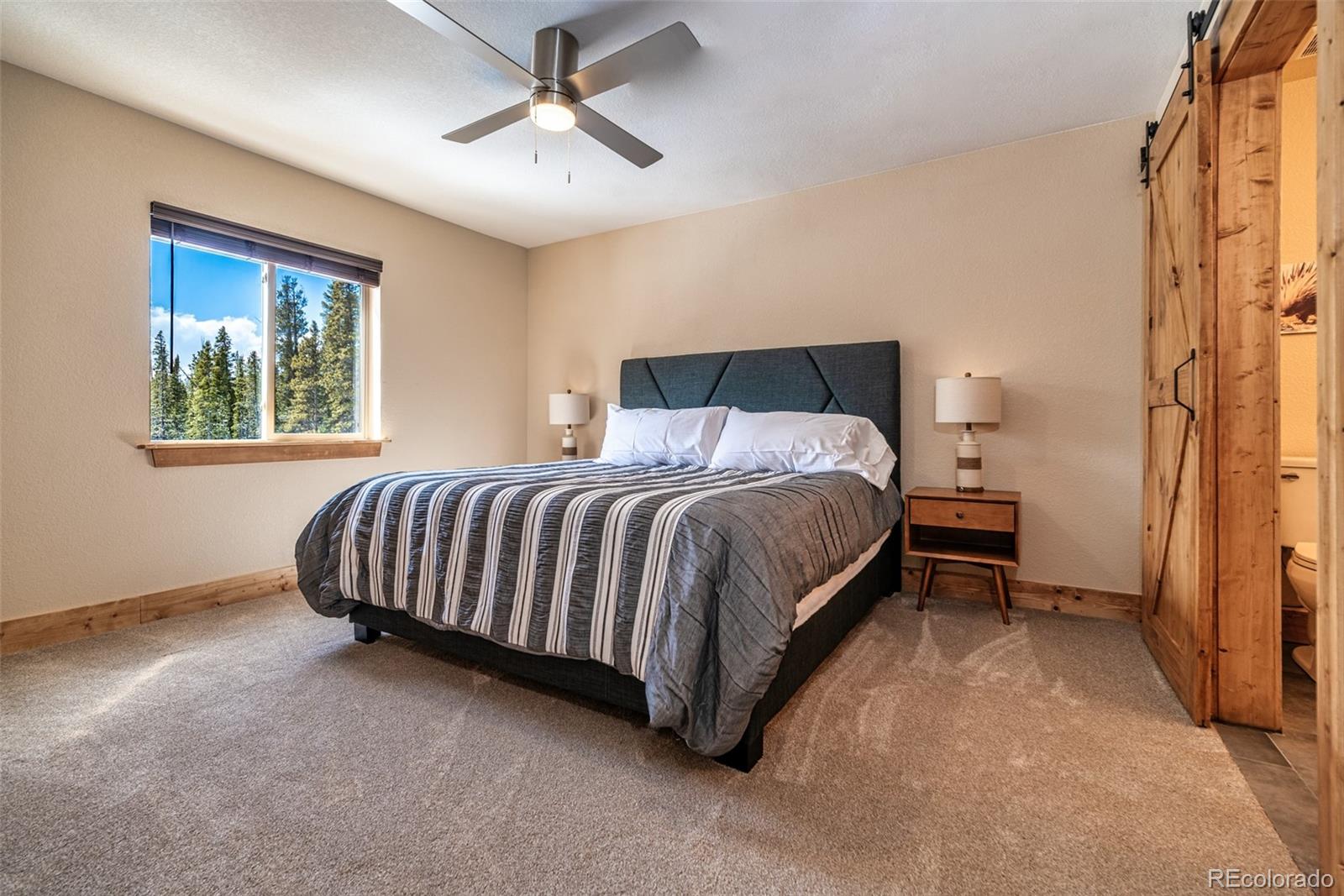 526 Porcupine Road Fairplay CO 80440