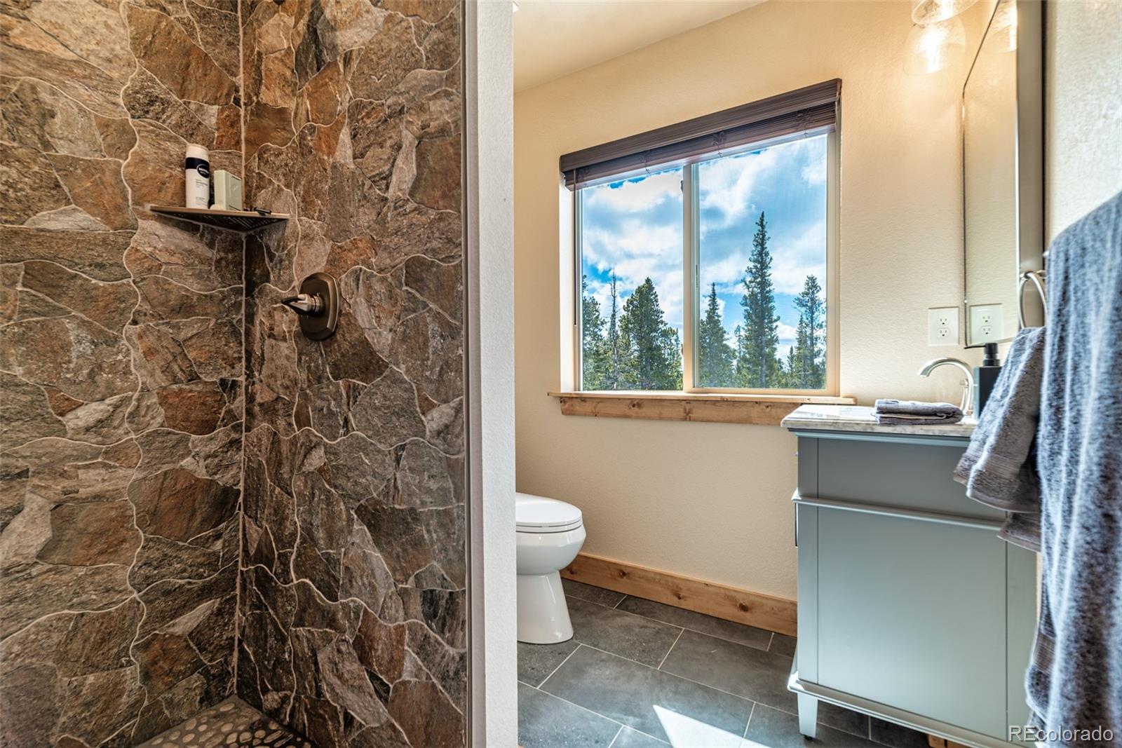 526 Porcupine Road Fairplay CO 80440