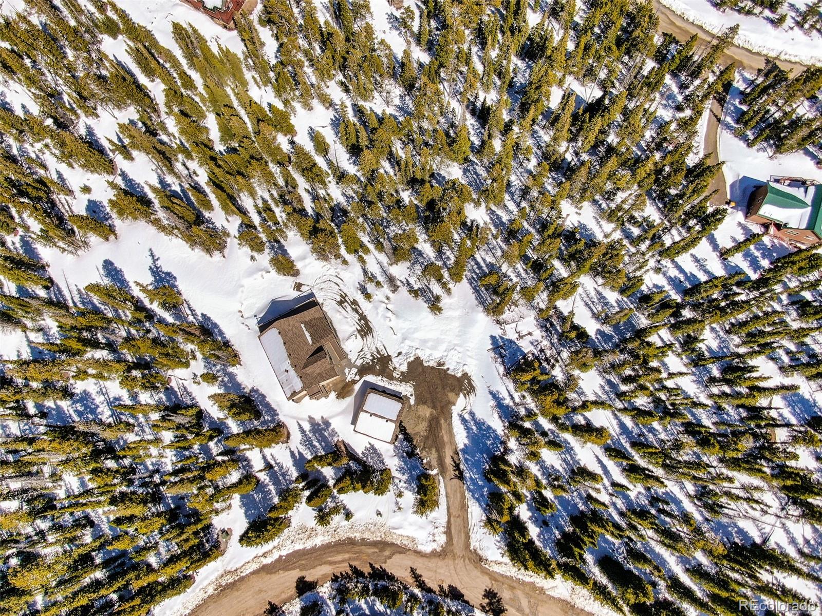 526 Porcupine Road Fairplay CO 80440