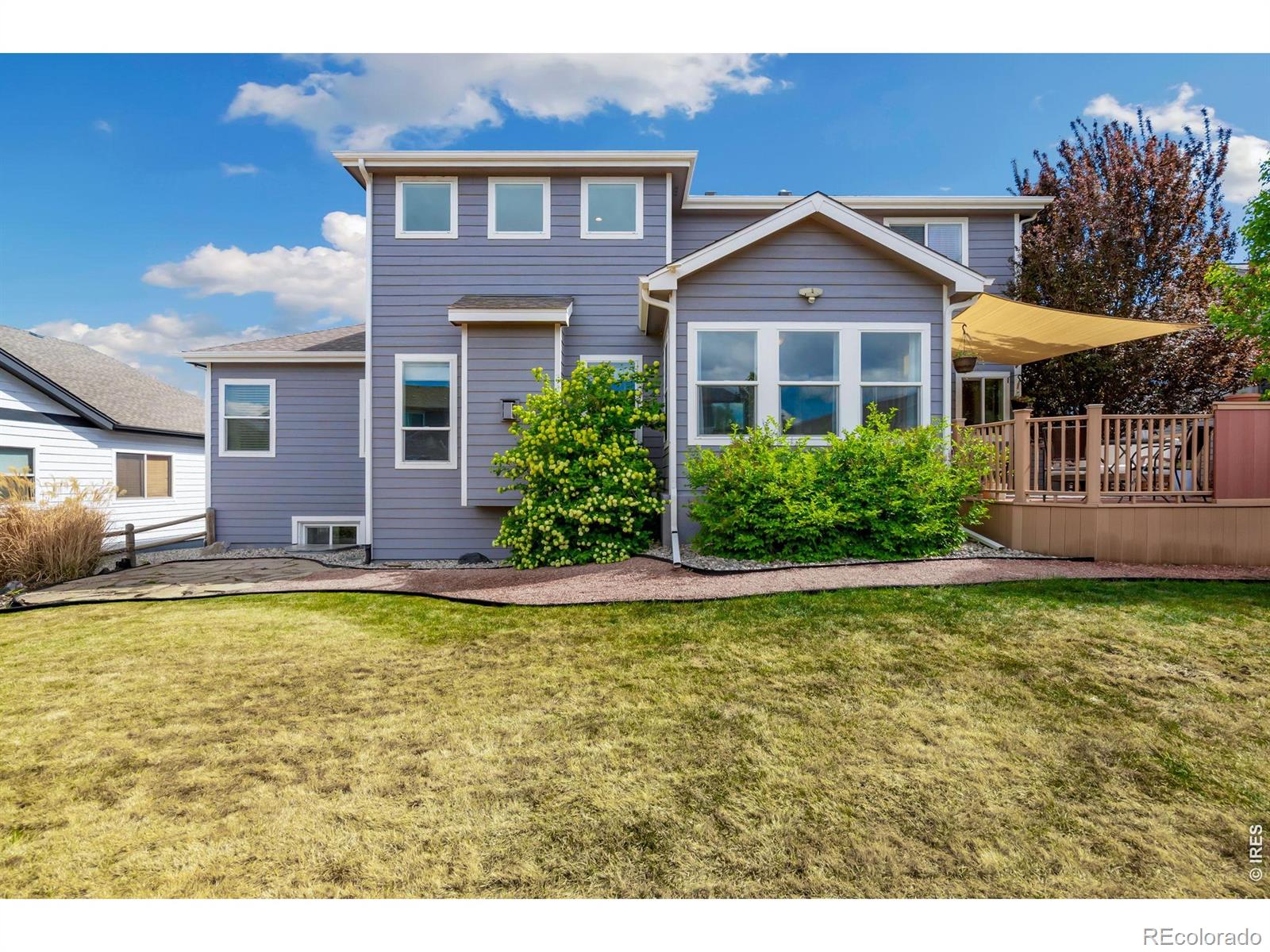 1696 Dolores River Drive Windsor CO 80550