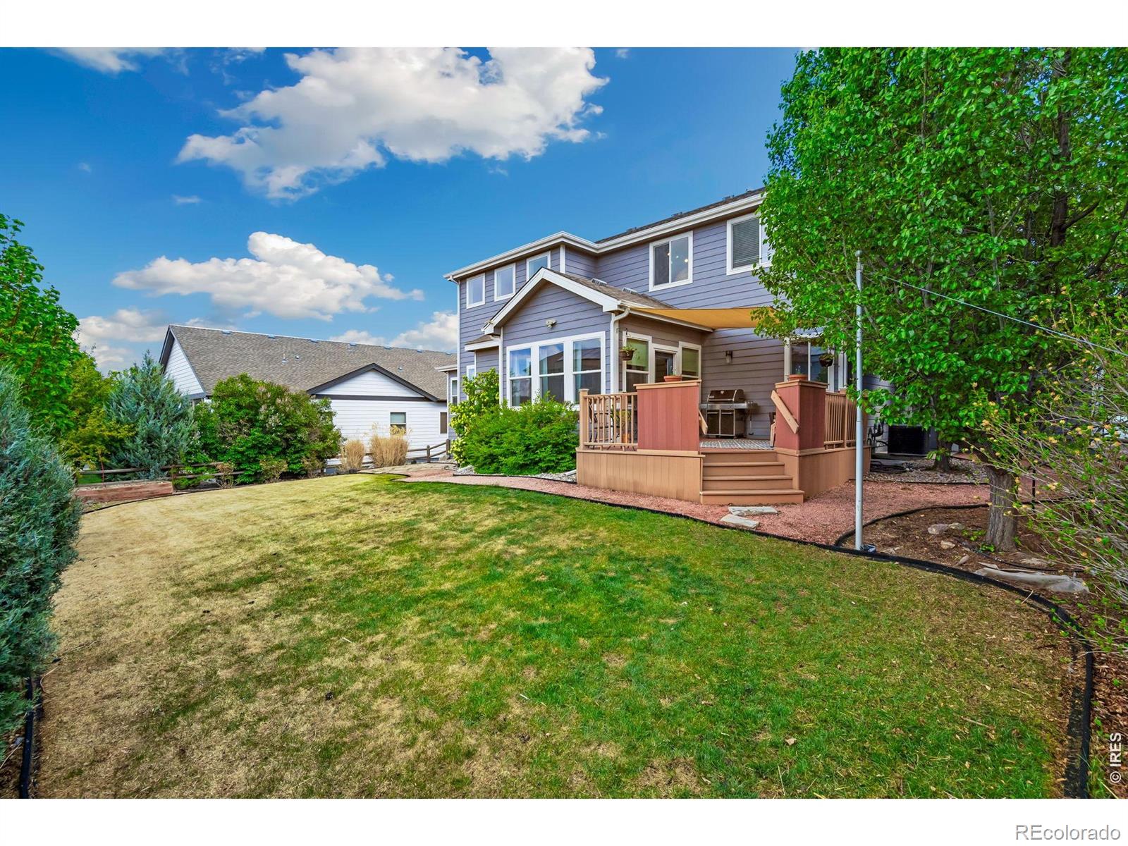 1696 Dolores River Drive Windsor CO 80550