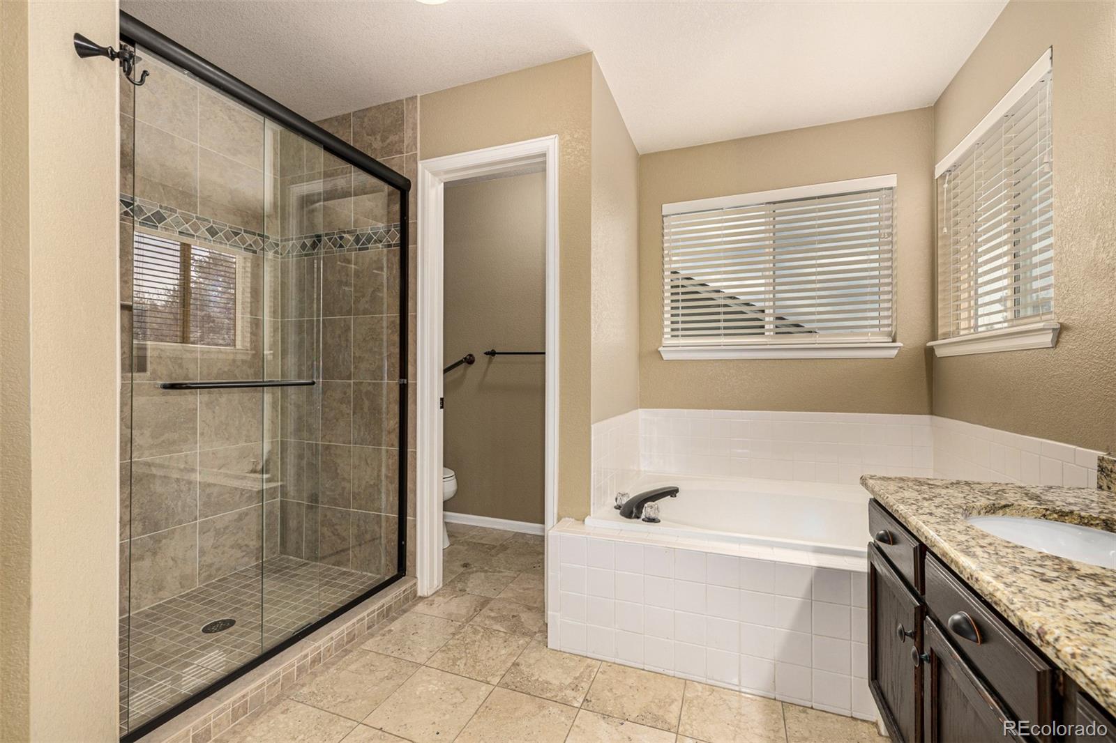 10244 Royal Eagle Street Highlands Ranch CO 80129