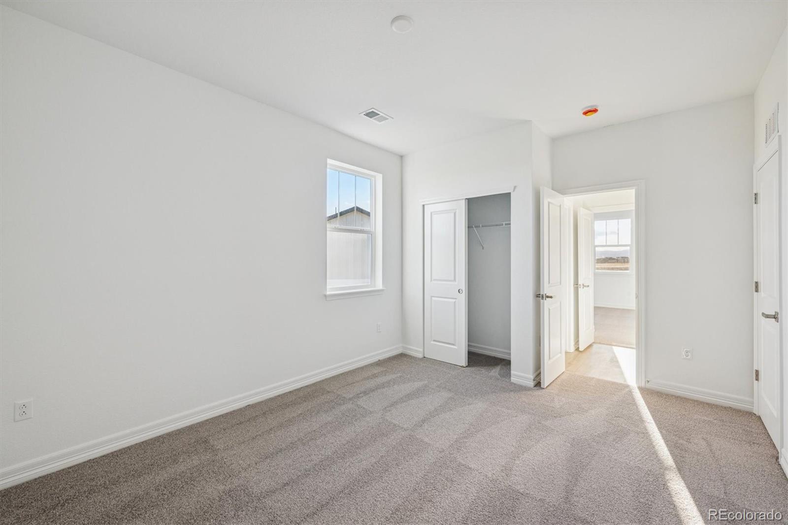 1162 Weller Street Timnath CO 80547