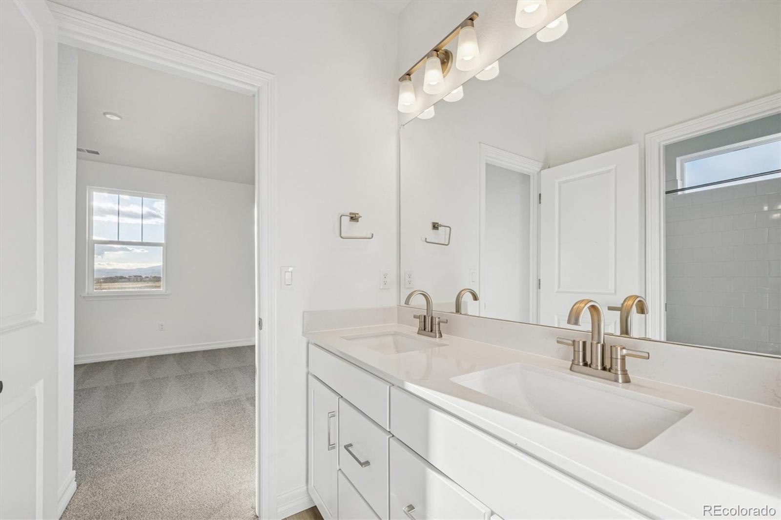 1162 Weller Street Timnath CO 80547