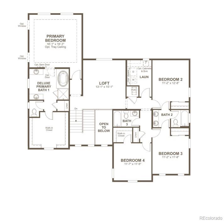 1162 Weller Street Timnath CO 80547