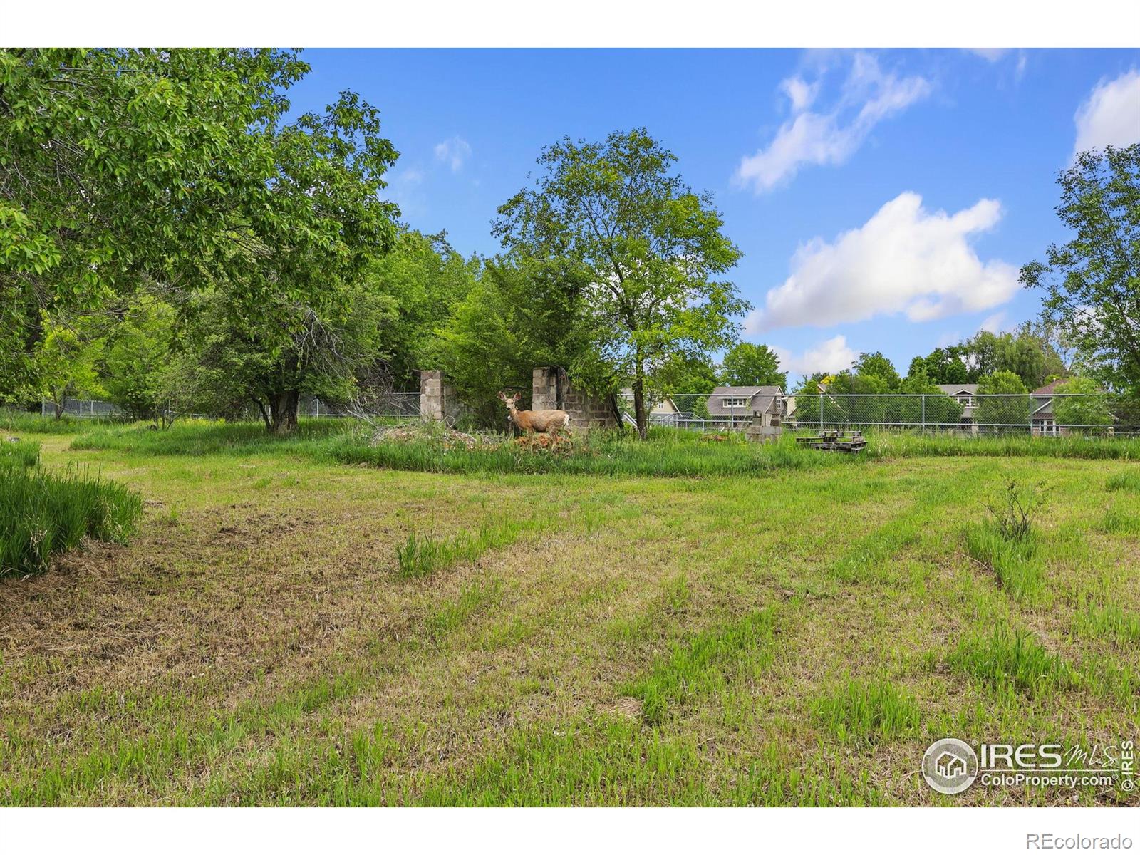 1304 W Prospect Road Fort Collins CO 80526