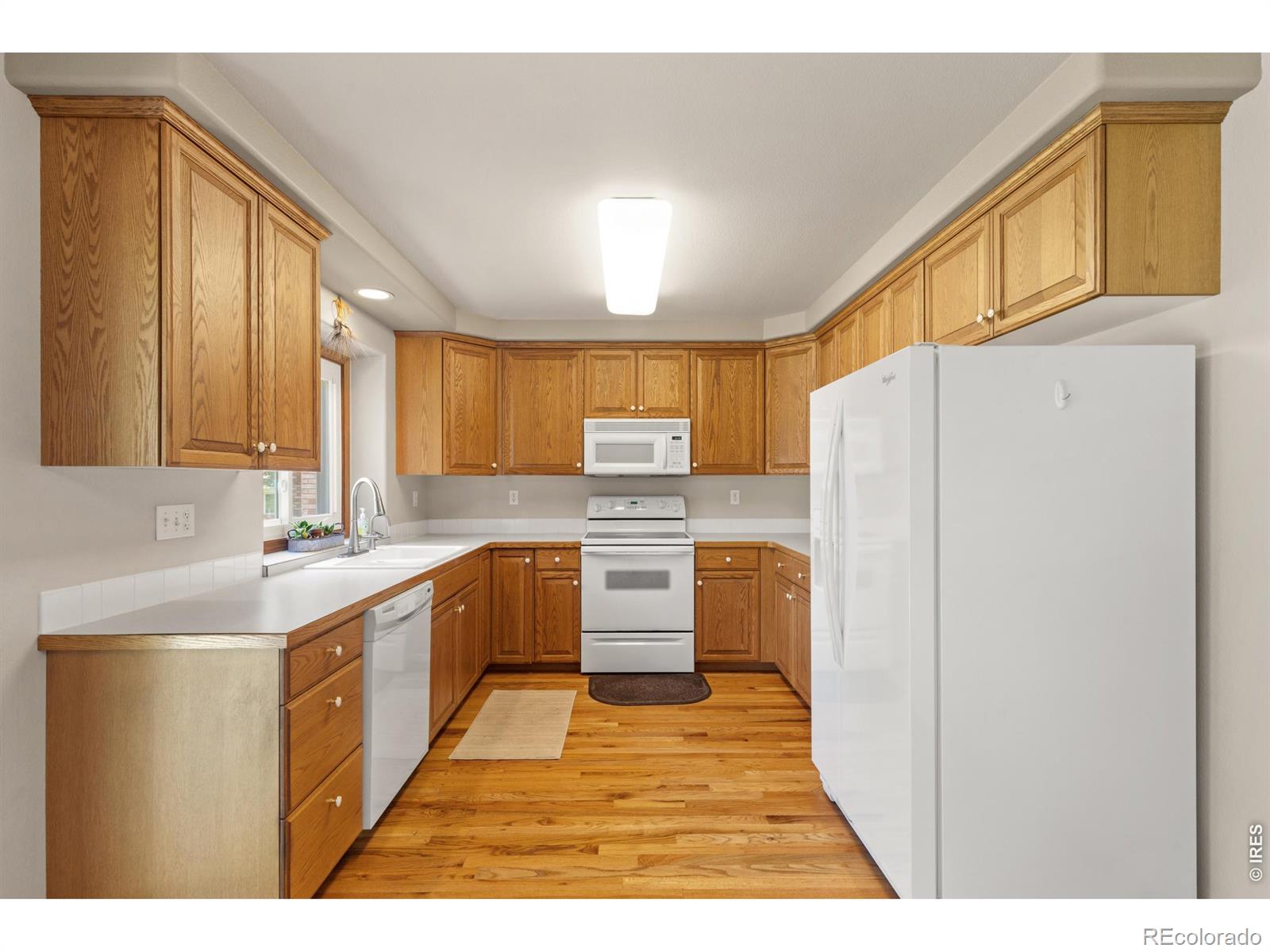 4479 W 17th Street Greeley CO 80634