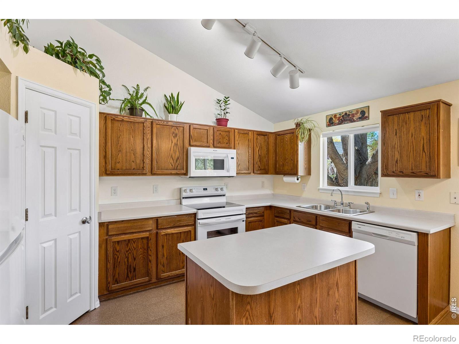 1421 Sorrel Court Longmont CO 80504