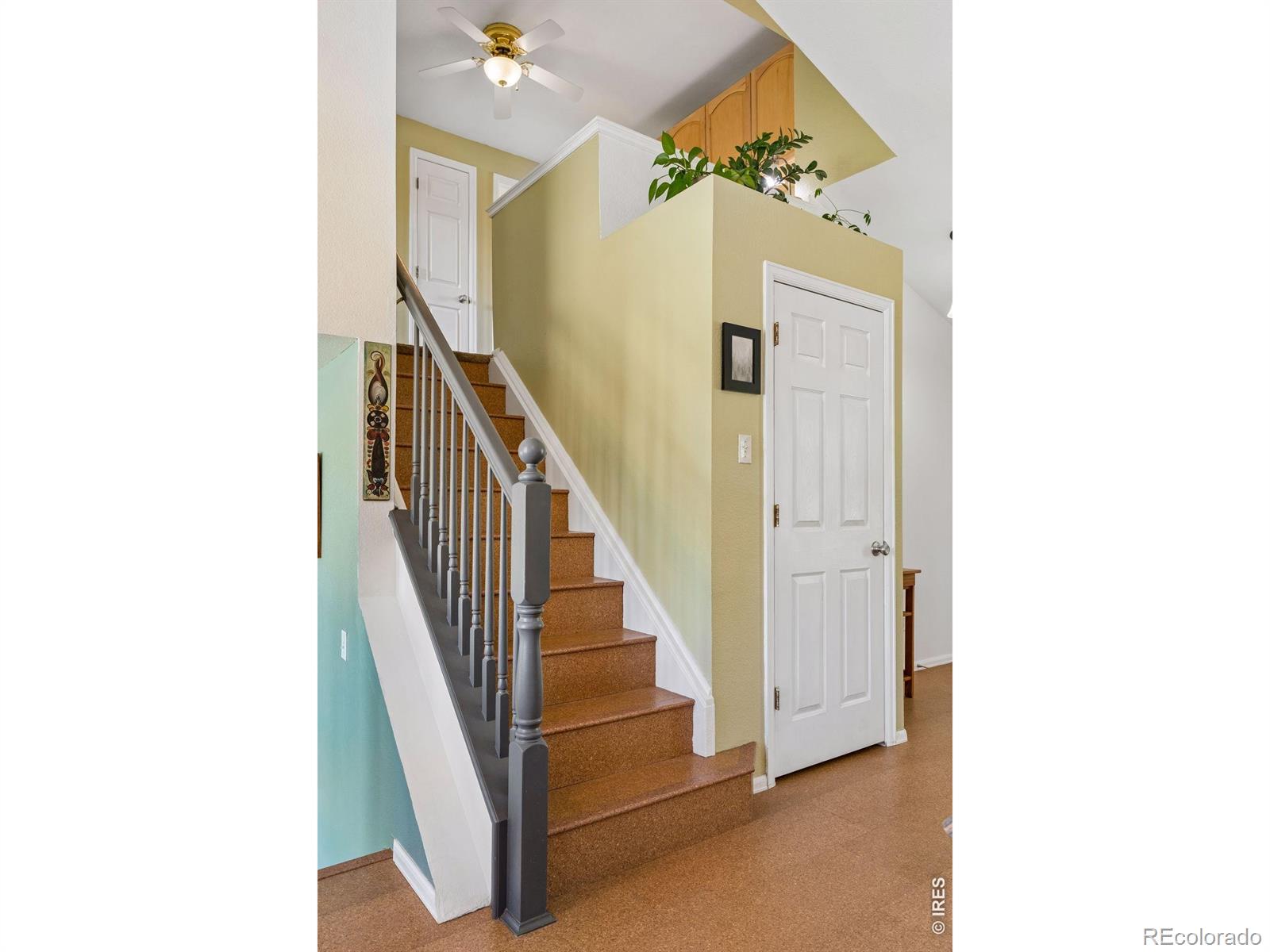 1421 Sorrel Court Longmont CO 80504