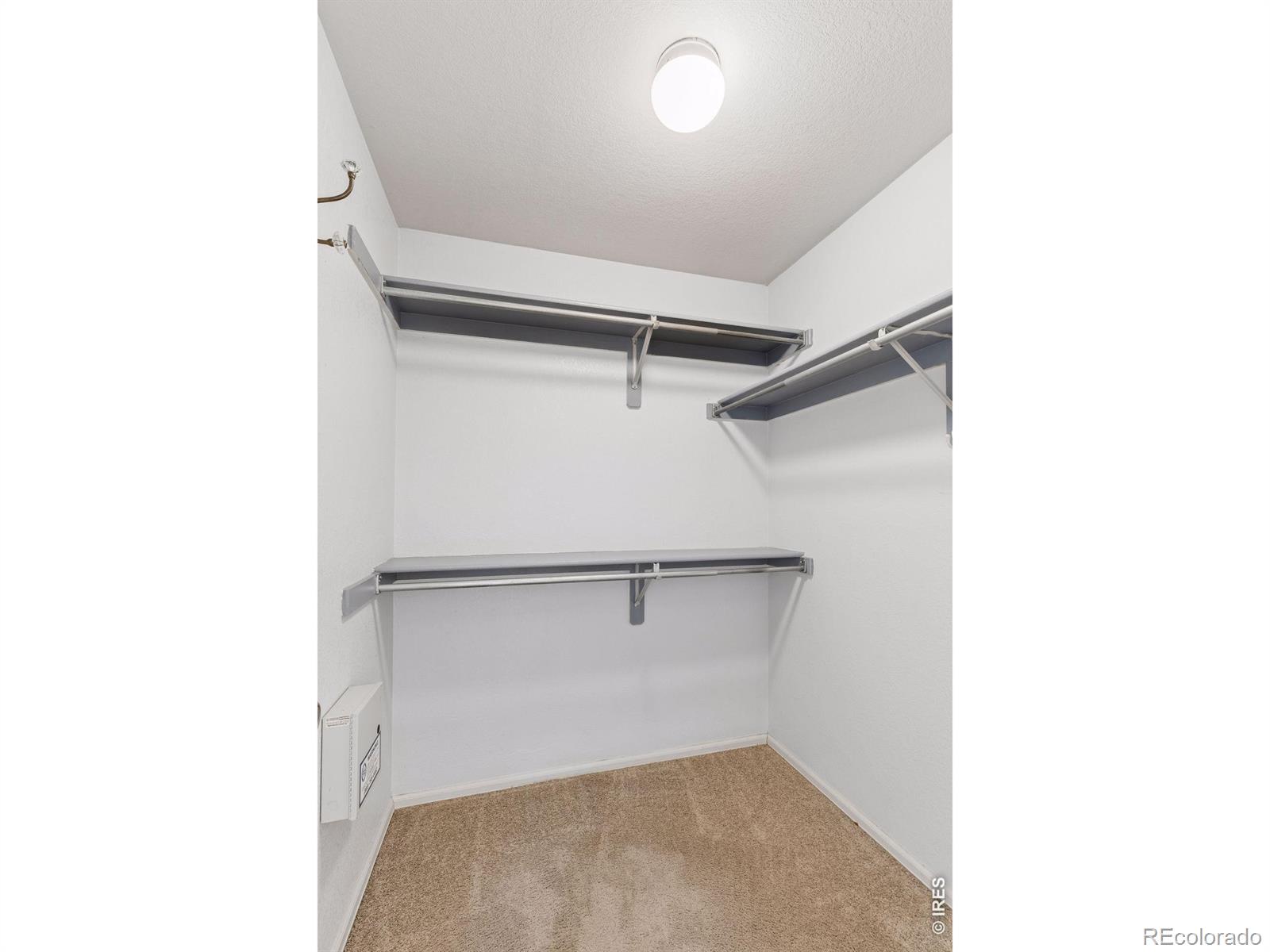 1421 Sorrel Court Longmont CO 80504