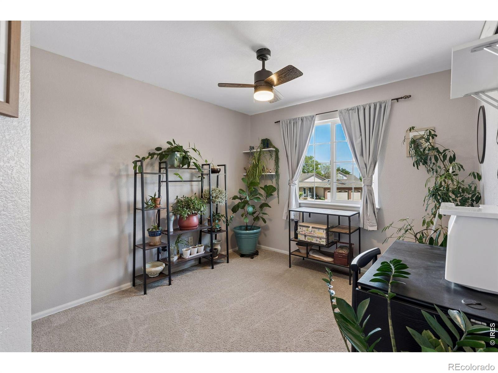 1421 Sorrel Court Longmont CO 80504