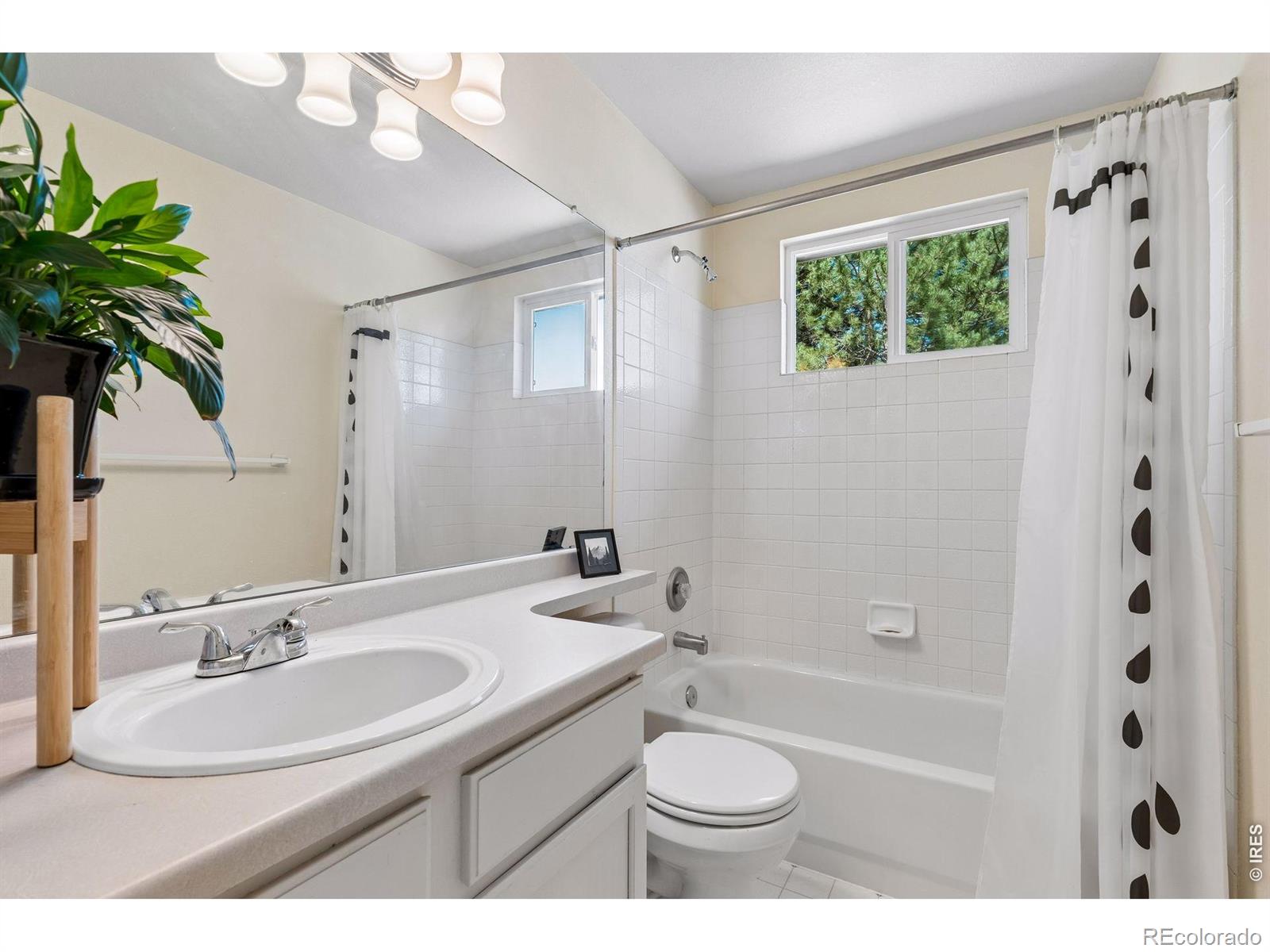 1421 Sorrel Court Longmont CO 80504
