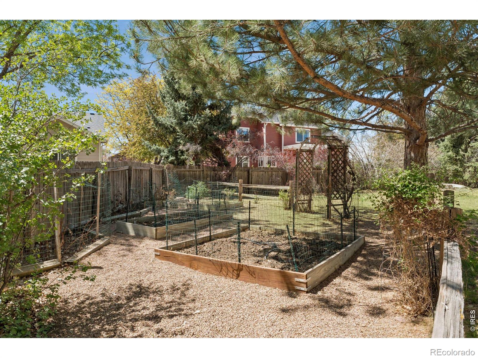 1421 Sorrel Court Longmont CO 80504